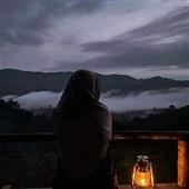 hạnh p