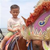 lấy ph