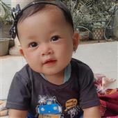 Vũ Hội