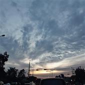 Lịch t