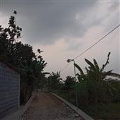 Mèo Ma