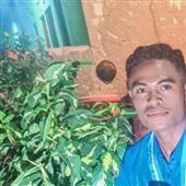 5 trận