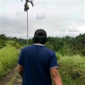 Ngưu N