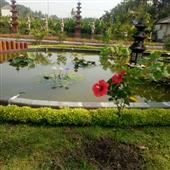 Ngầu H