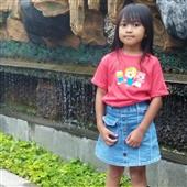 Bộ the