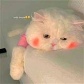 Badmin