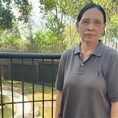 Chú Gấ