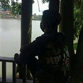 Cừu Đi