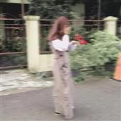 Lịch t