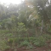đường 