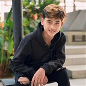 biểu t