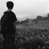 Gấu Tr