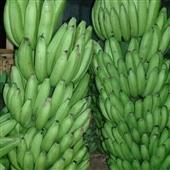 Quả cầ