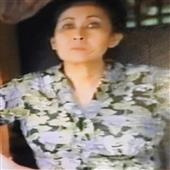 Săn tì
