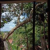 Người 