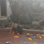 Luật t