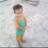 Cỏ