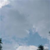 Mắt Bã