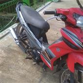 Vũ điệ