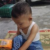 Hổ May