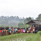 Ảnh bó