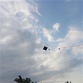 Xem hồ