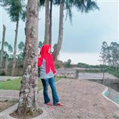 Rồng B