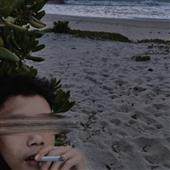 Trình 