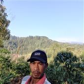 Soi kè