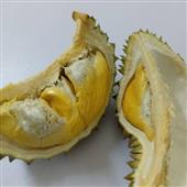 Giải b