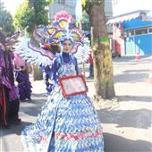 Đội bó