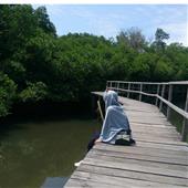 khỉ ha