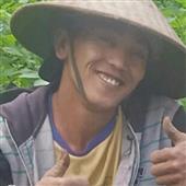 Giải N