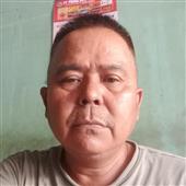 Linh v