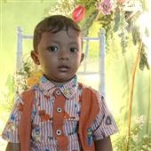 Các Vị