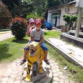 Lịch t