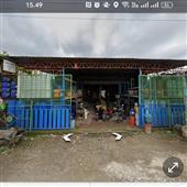 Tranh 