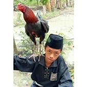 Samura