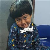 Tranh 