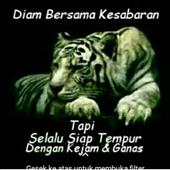 BXH LP