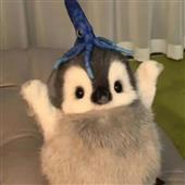 Điệu P