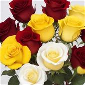 phim s
