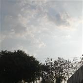 Các tr