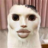 Tâ