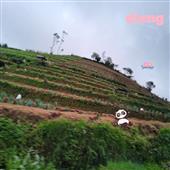 Nhận đ