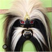 Chuyền