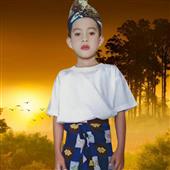 Vệ Bin