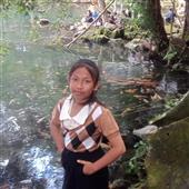 Bảng x