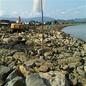 Xúc xắ