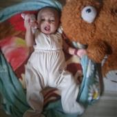 Gấp đô
